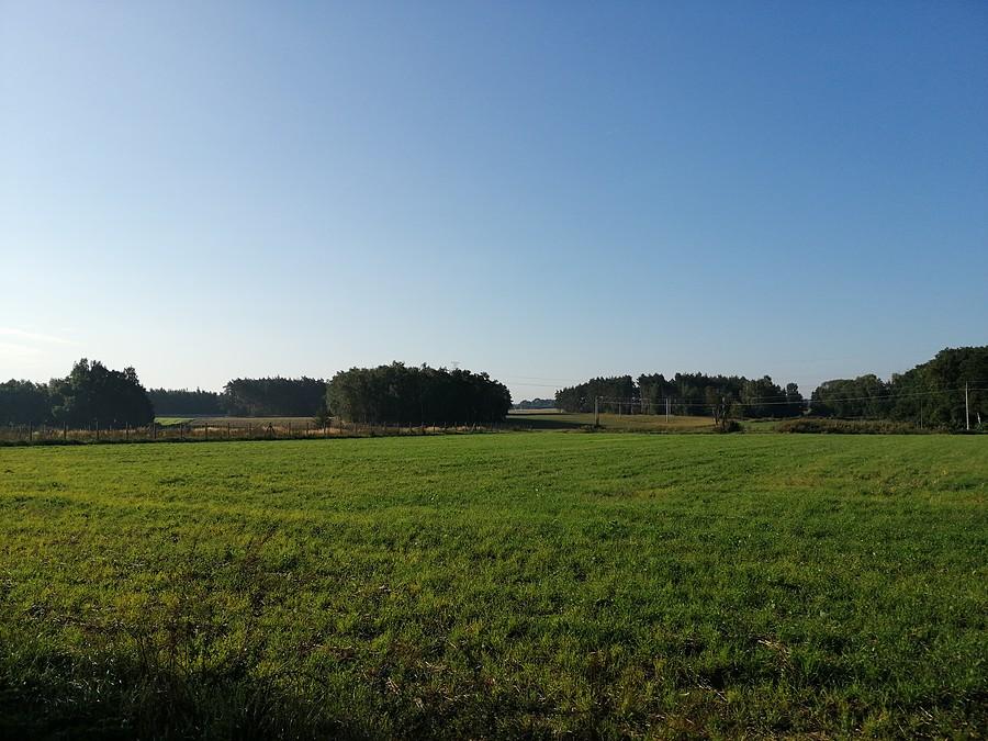 Zielona Łąka.