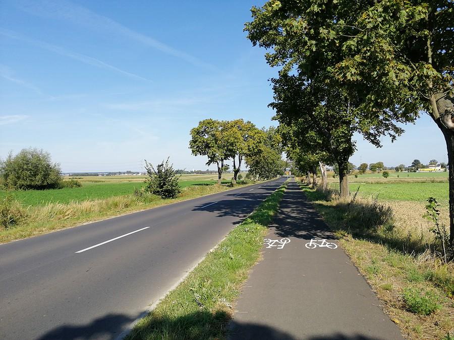 Odolanów - Raszków.