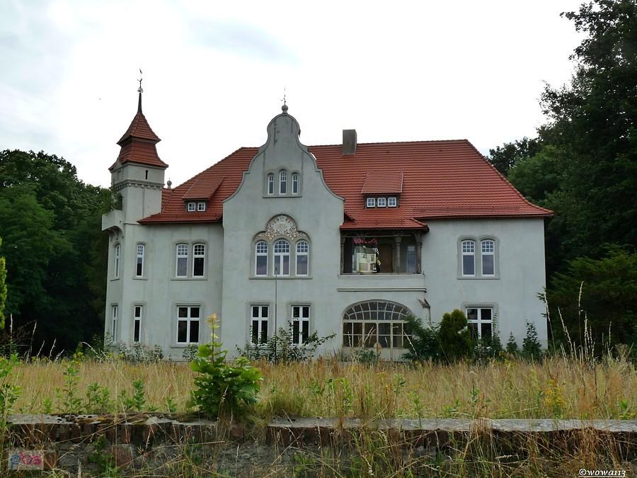 Pałac w Kozłowicach
