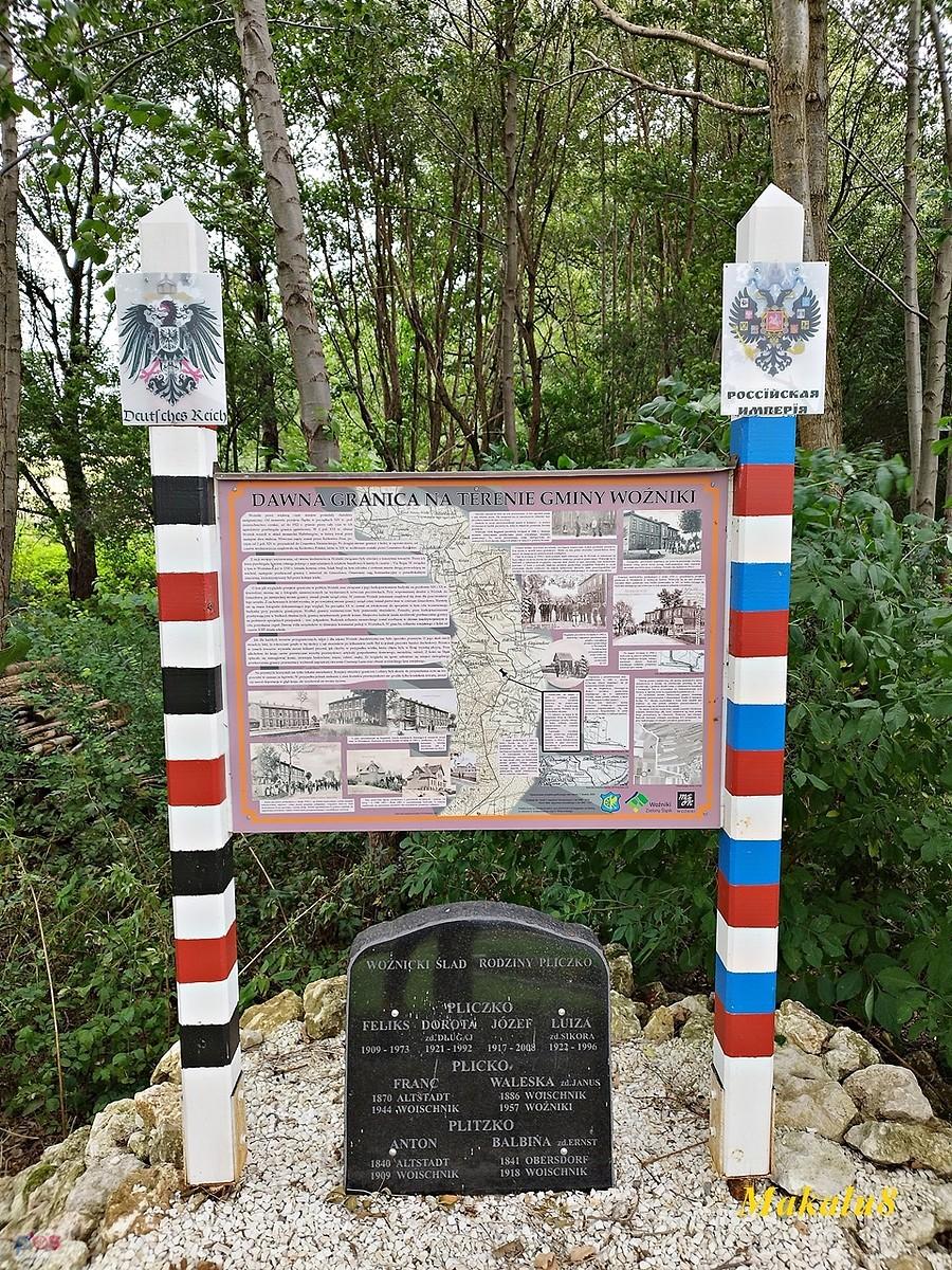 Woźniki