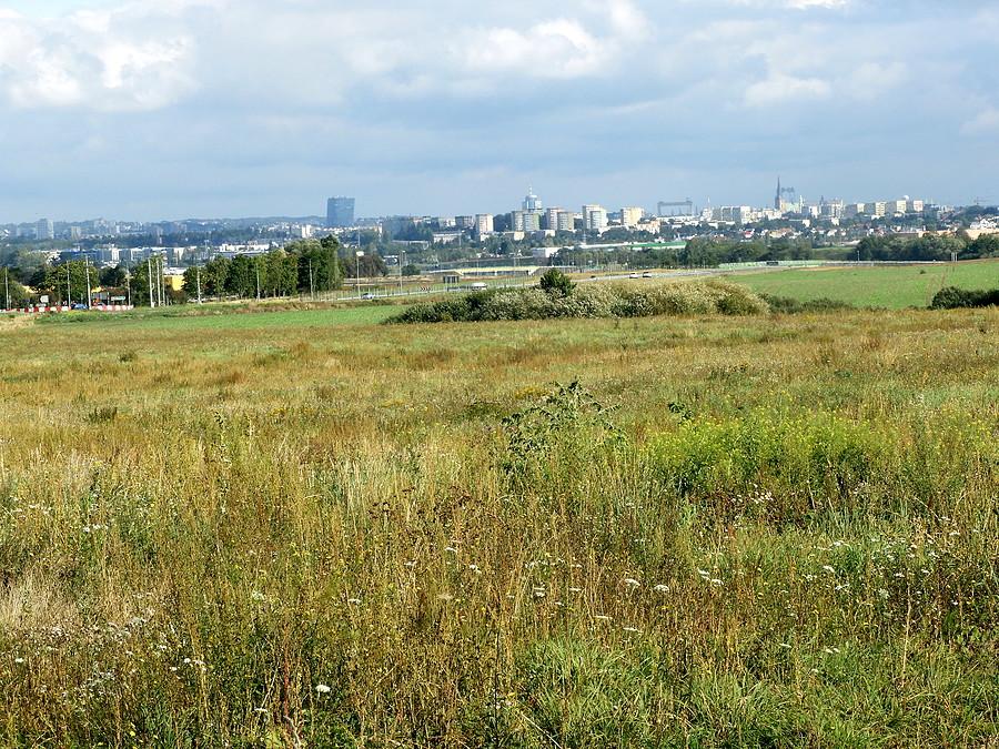 Panorama Szczecina, widok, spod Siadła Górnego.