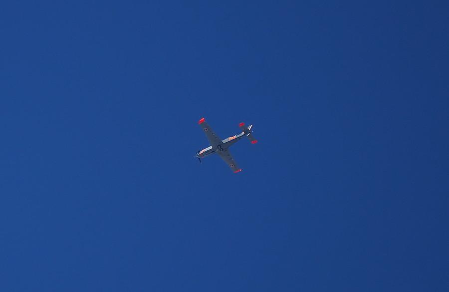 PZL-130 Orlik wysoko nad moim ogrodem