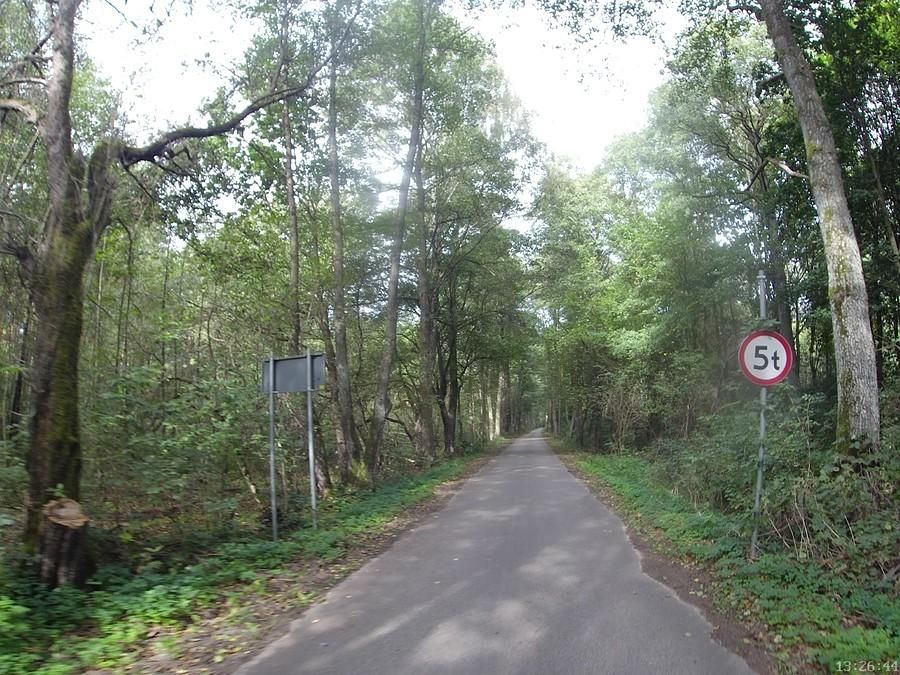 Kampinoska droga Wiersze - Brzozówka