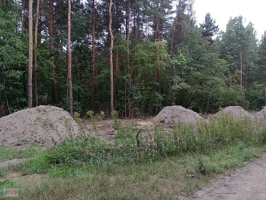 Czyżby krety olbrzymy..?