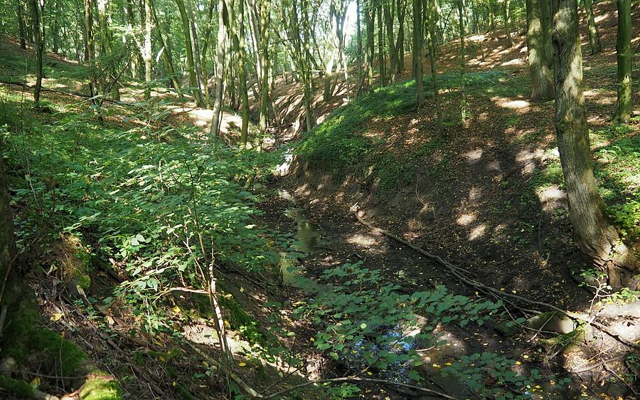 Dłuska Struga