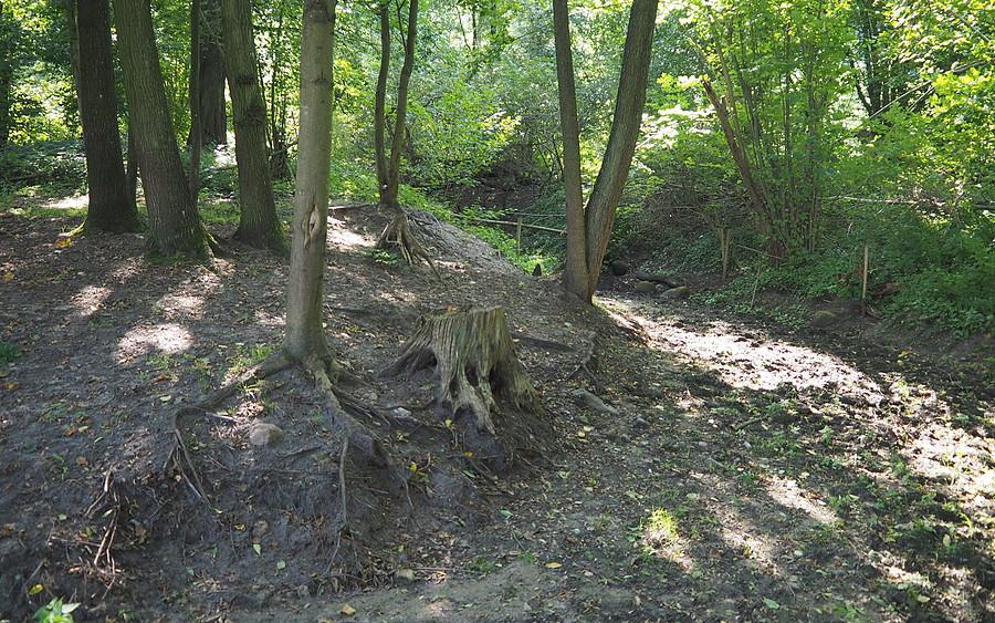 Woda wsiąkła.