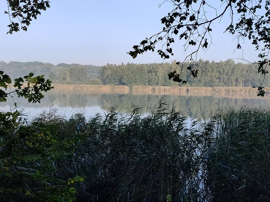 Jezioro Swarzędzkie