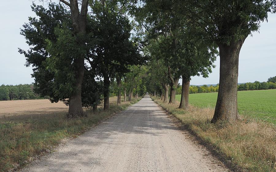 Rokitno-Przytoczna