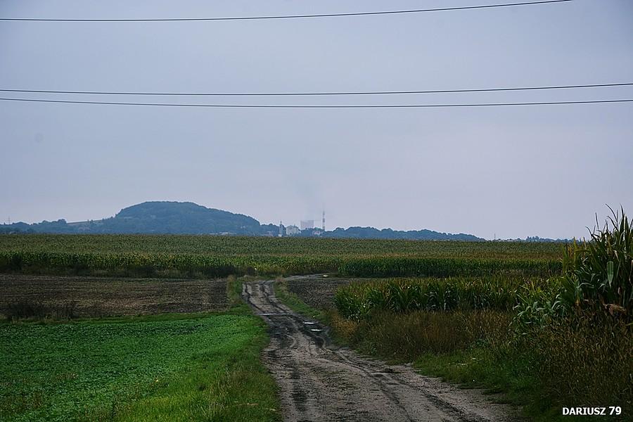 Przełajka - Siemanowice Śląskie
