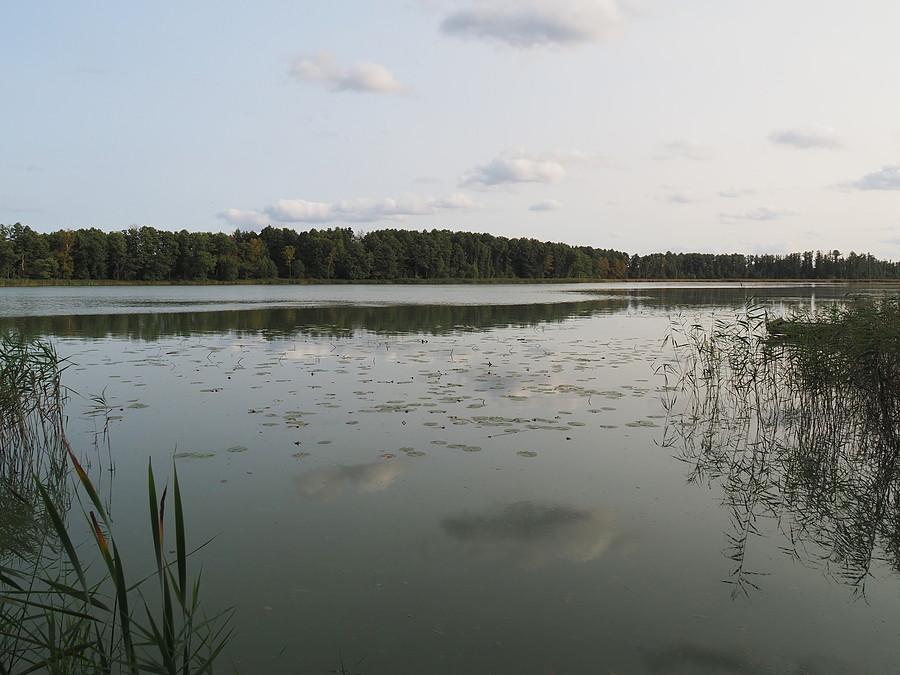 Jezioro Busko (Starościńskie)