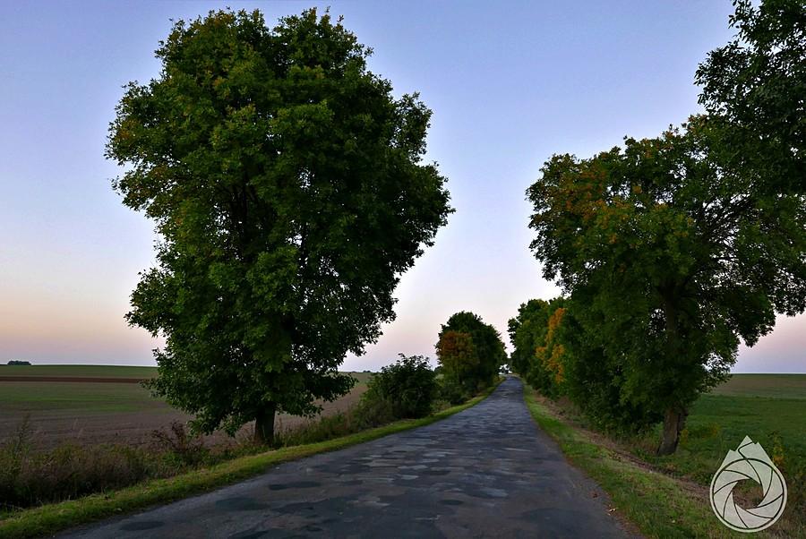 w końcu drogi Lubelszczyzny zaczynają być podziurawione