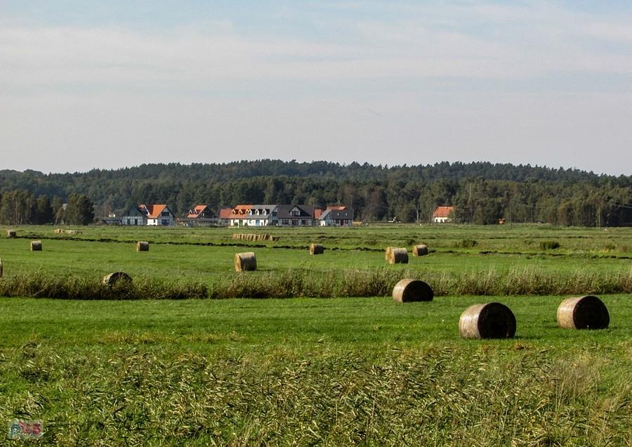 Zabudowania Dębiny