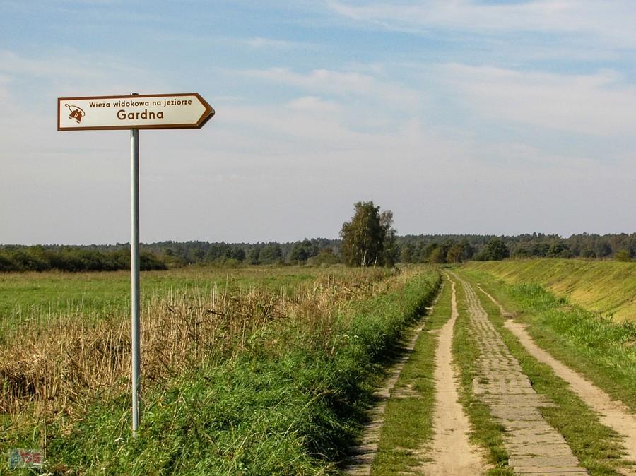 Droga do wieży wyłożona jest betonem ekologicznym