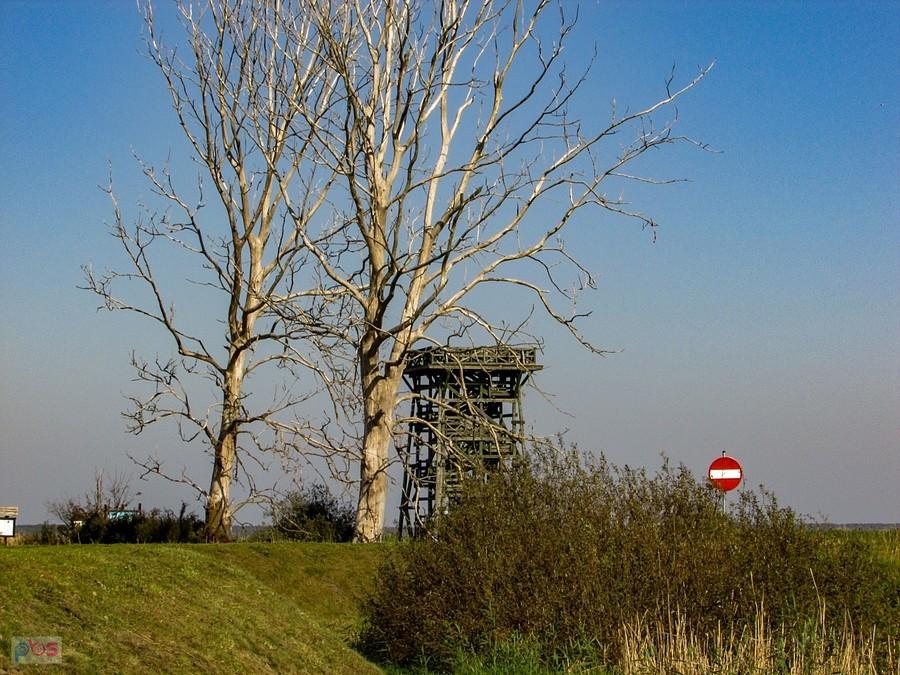 Droga prowadzi wedle dwóch łysych topól