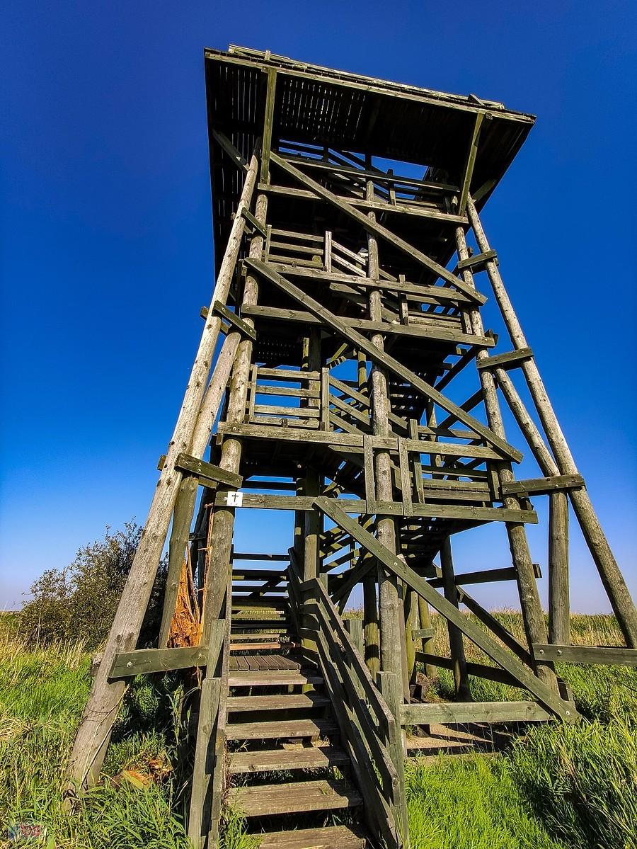 Wieża widokowa nad jeziorem Gardno