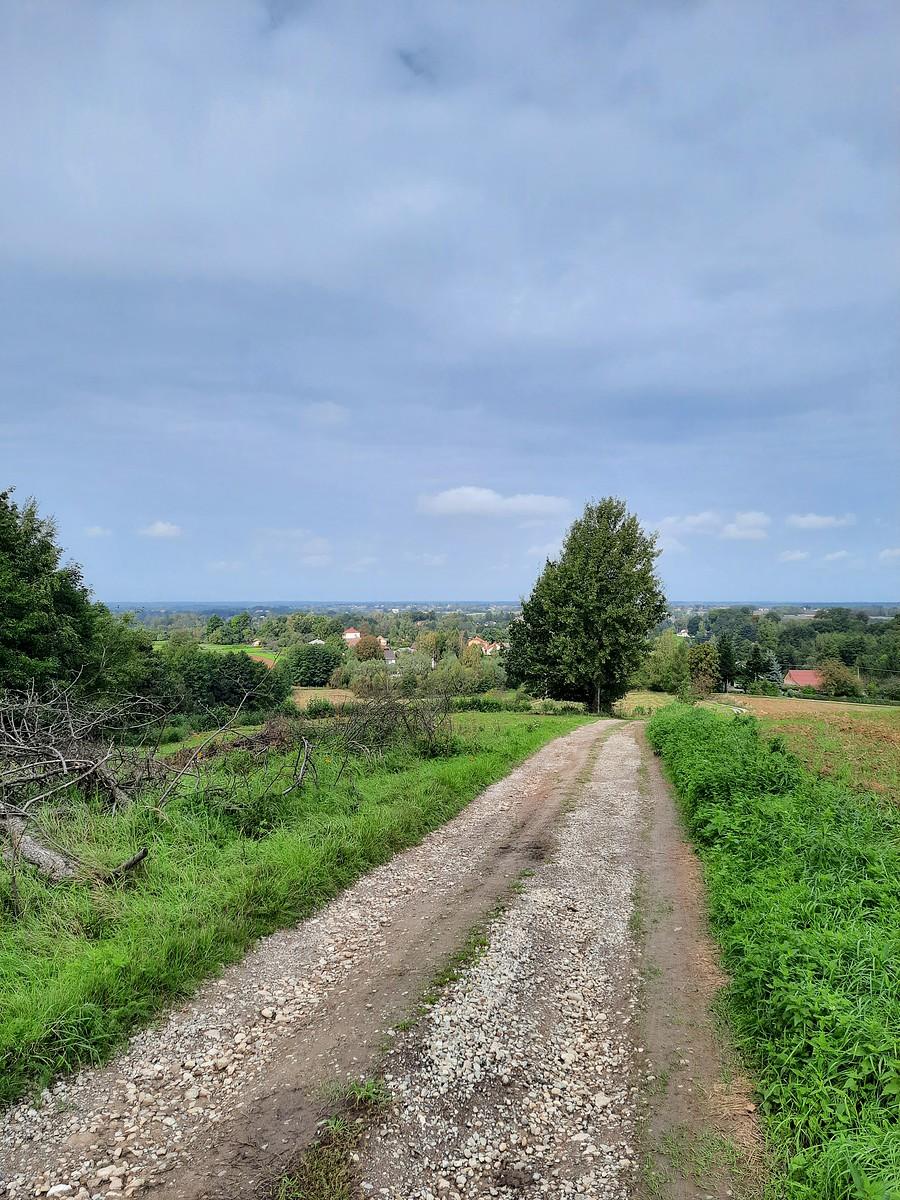 Zjazd do Olchowej.