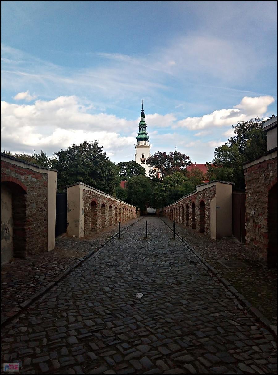 Opctwo Cystesrów w Henrykowie