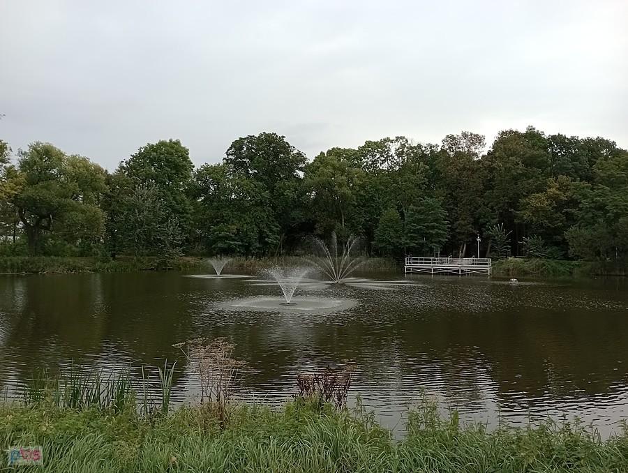 Staw w Ołtarzewie