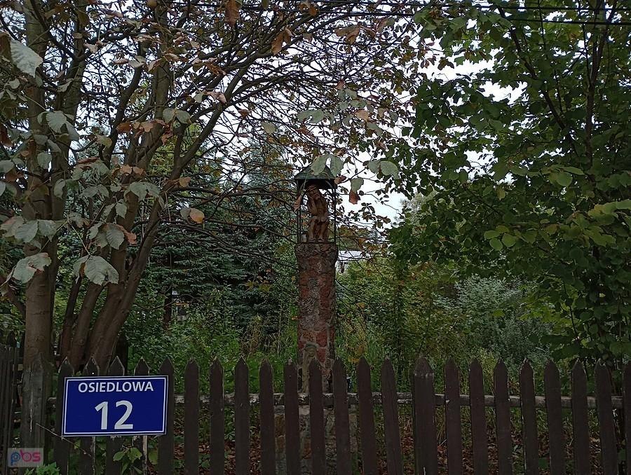 Czym się tak frasujesz, Panie
