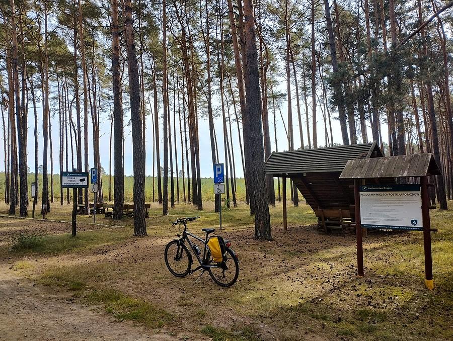 Leśny parking w Puszczy Rzepińskiej
