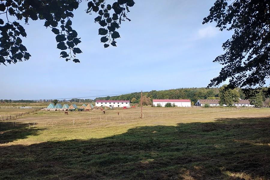 Rancho Drzecin