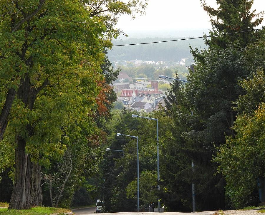Widoczek z mosińskiej Osowej Góry
