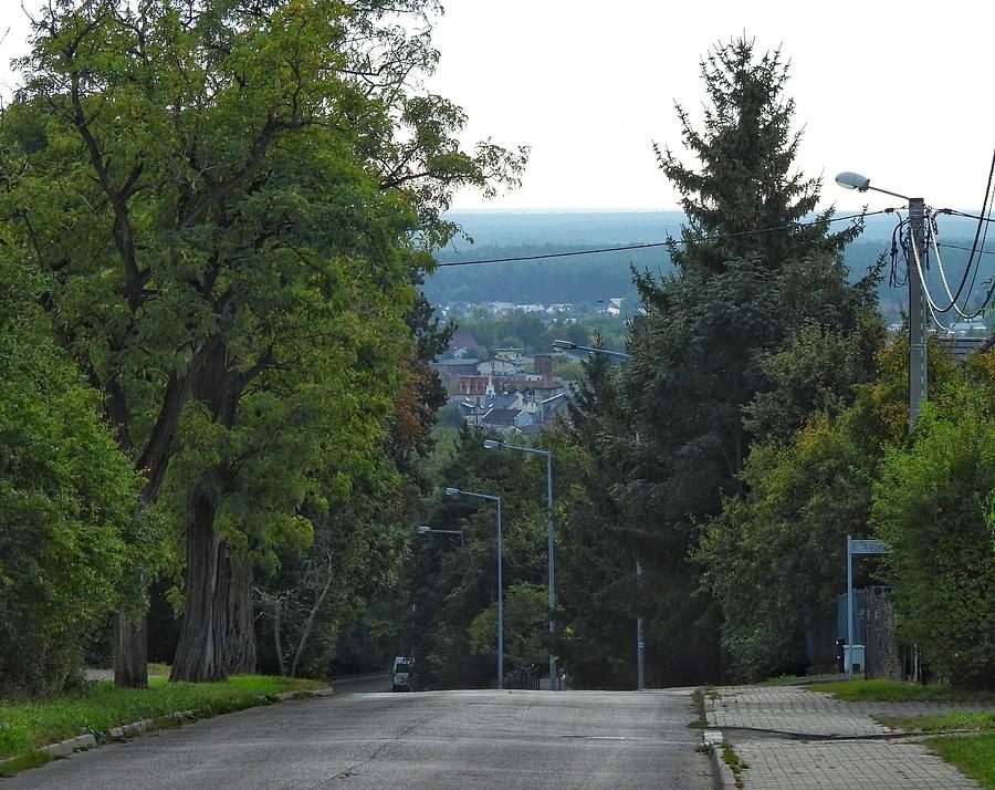 Ulica Pożegowska w Mosinie