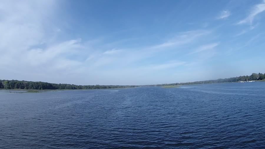 Narew w Wierzbicy