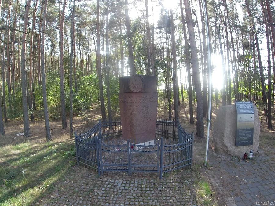 W hołdzie Powstańcom Styczniowym ze wsi Suwin