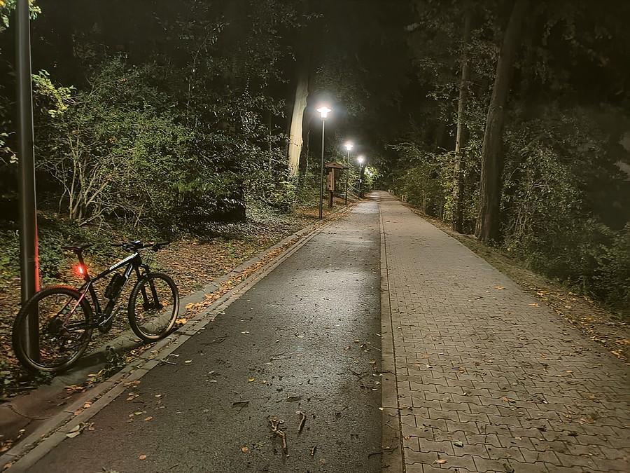Ścieżka nad Jeziorem Swarzędzkim