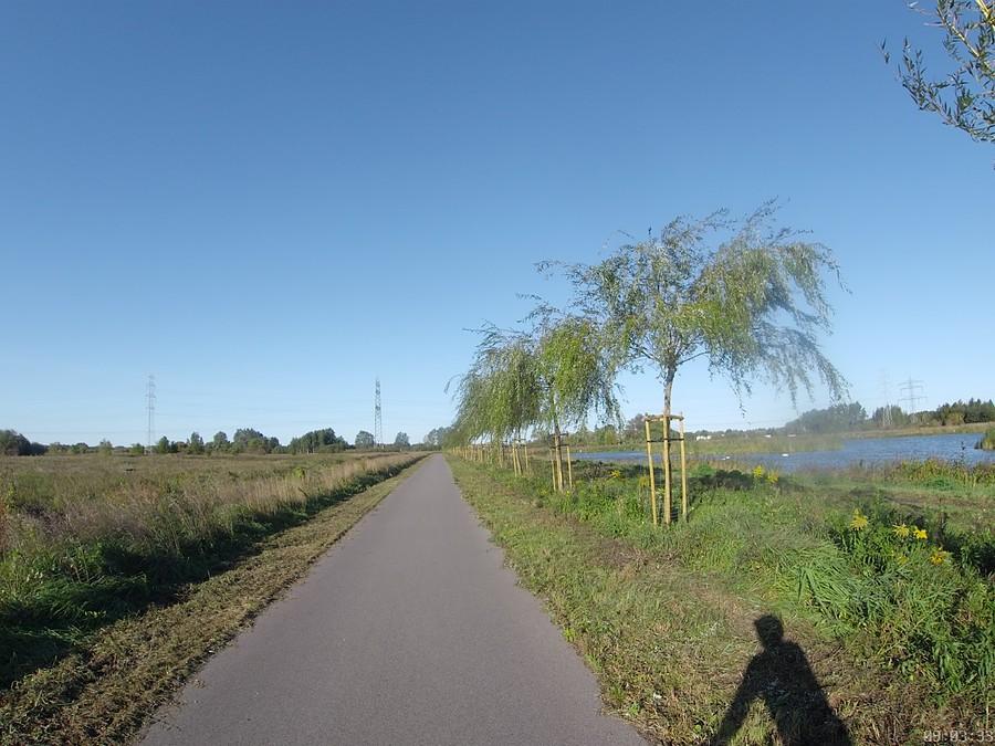 Ulubiona droga rowerowa w Michałowicach