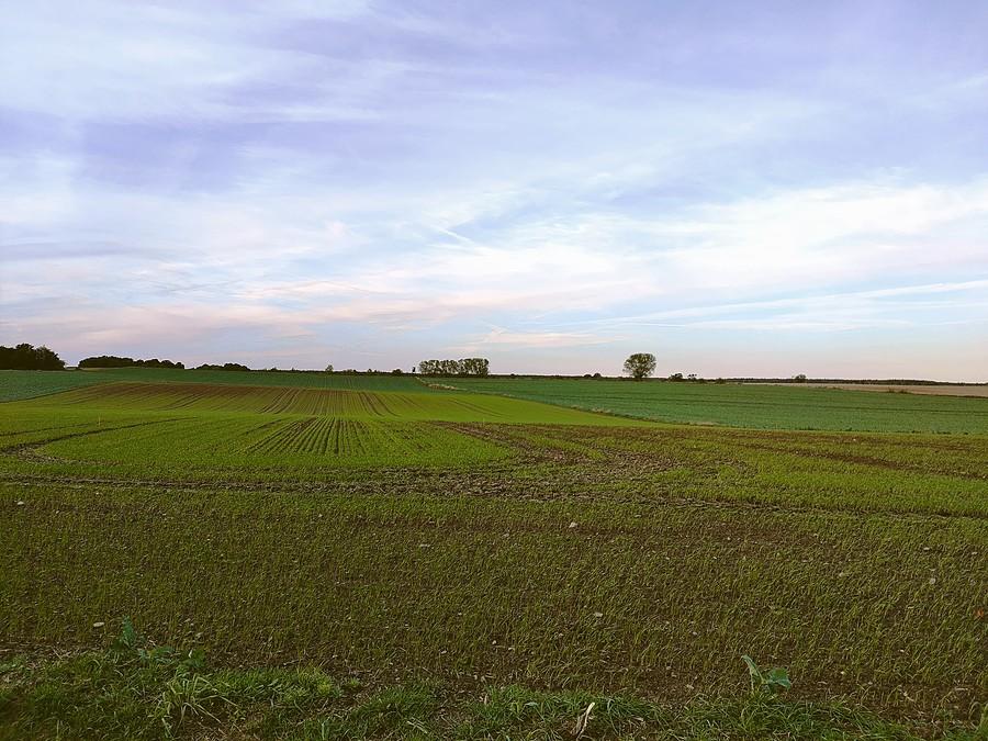 Pola między Kowalskim a Jerzykowem