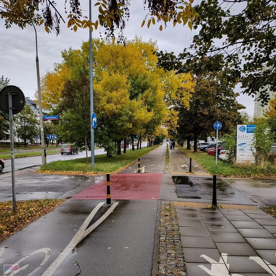 Jesiony najpóźniej mają liście i najwcześniej żółkną