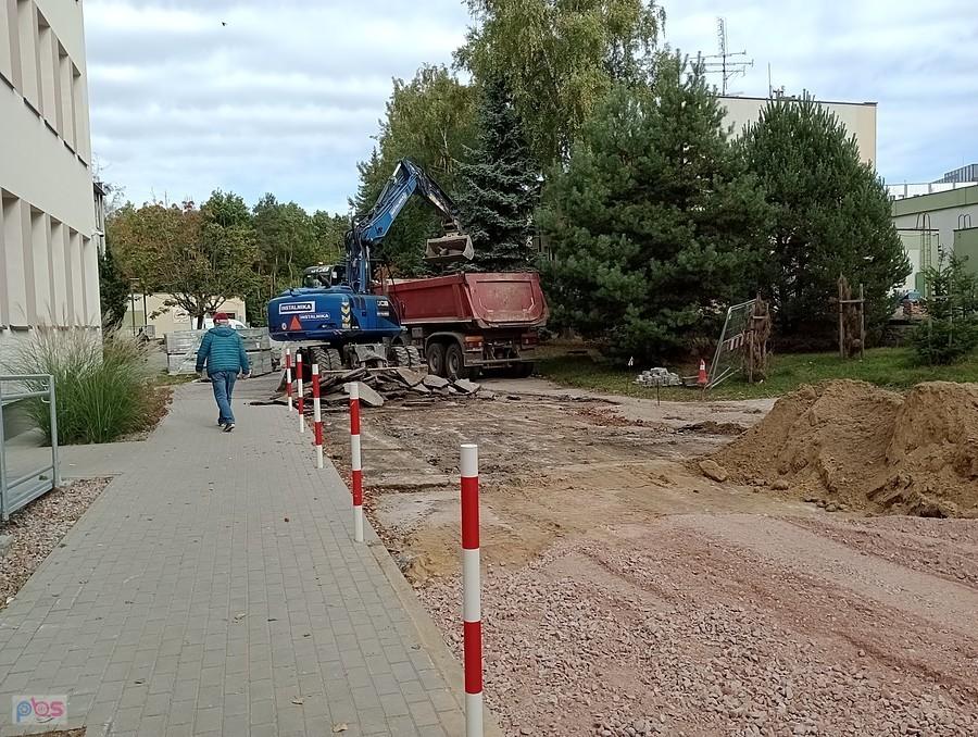 Zwijają asfalt