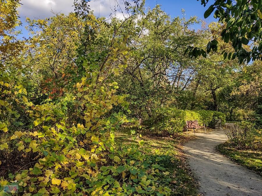 Park na terenie dawnych ogródków działkowych