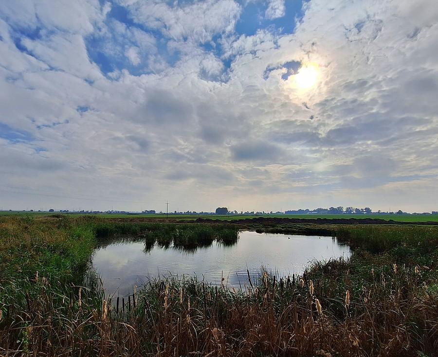 Słońce nad Szczodrzykowem