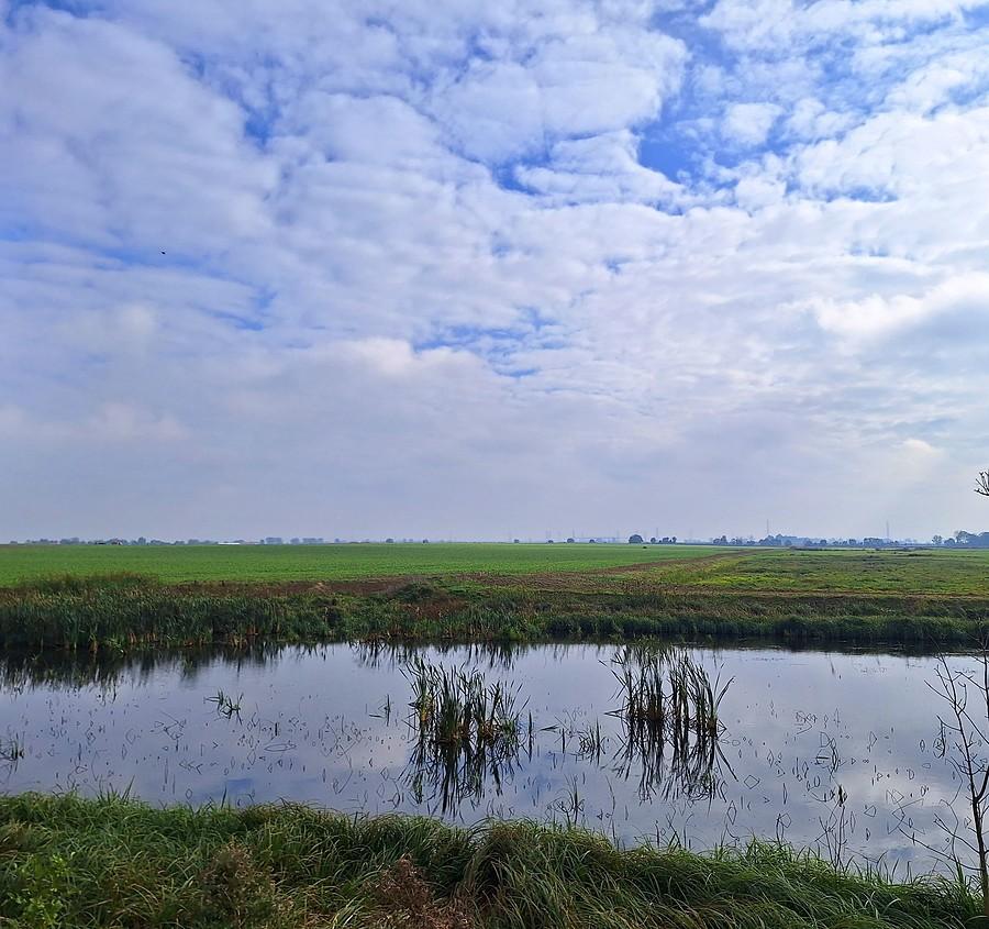 Błękit nad Szczodrzykowem