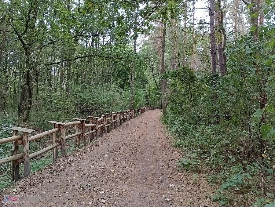 Przez las