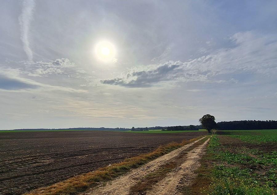 Spokojnie nad Lisówkami