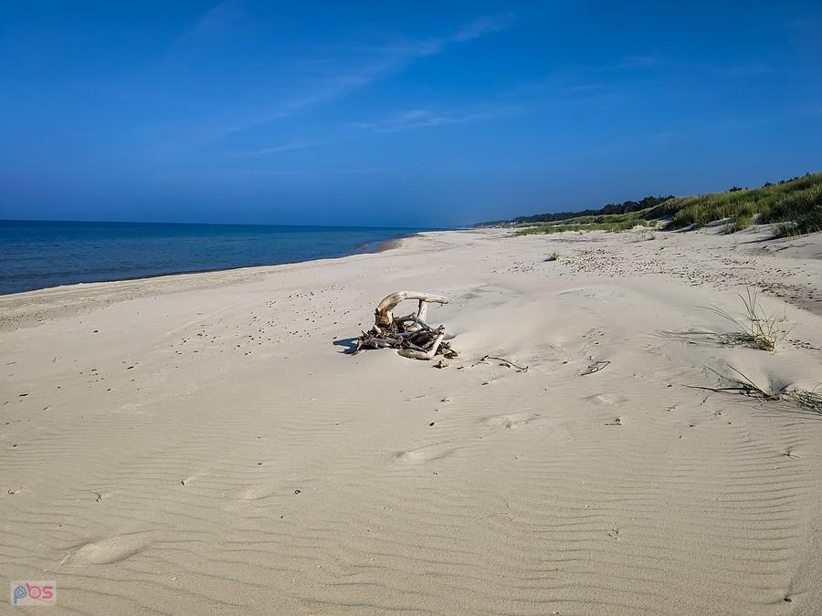 Dziewicza plaża