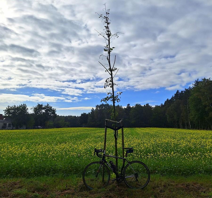 Wiosenna październikowa rowerówka