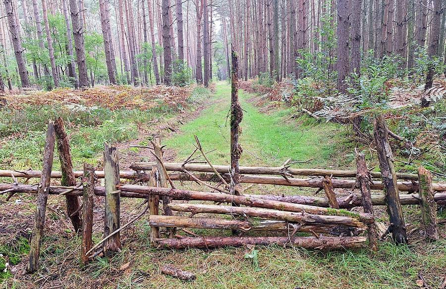 Piękna i dorodna BS-owa blokada :)