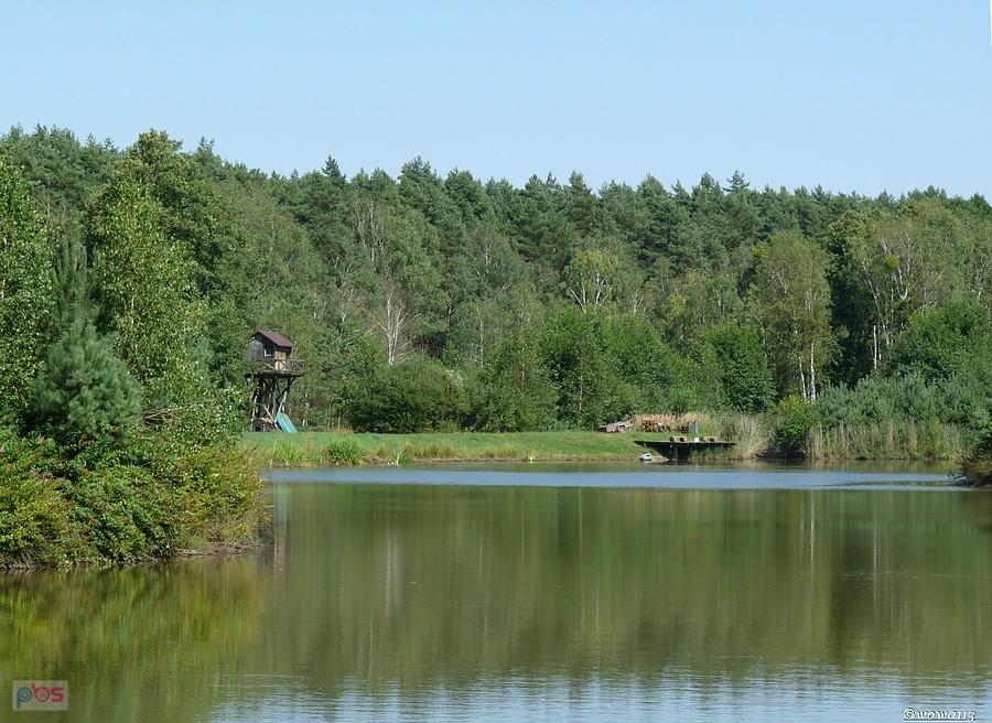 Staw w Czarkowie