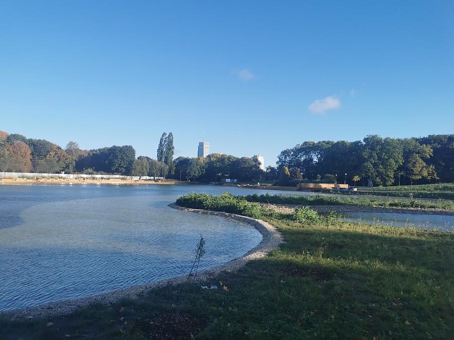 Staw w parku Pole Mokotowskie