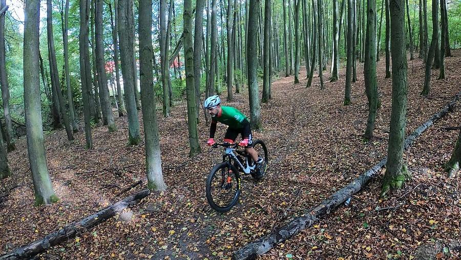 Jesienne MTB między drzewami