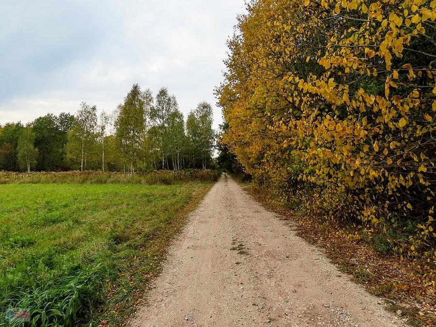 Szutrówka w kierunku Obór