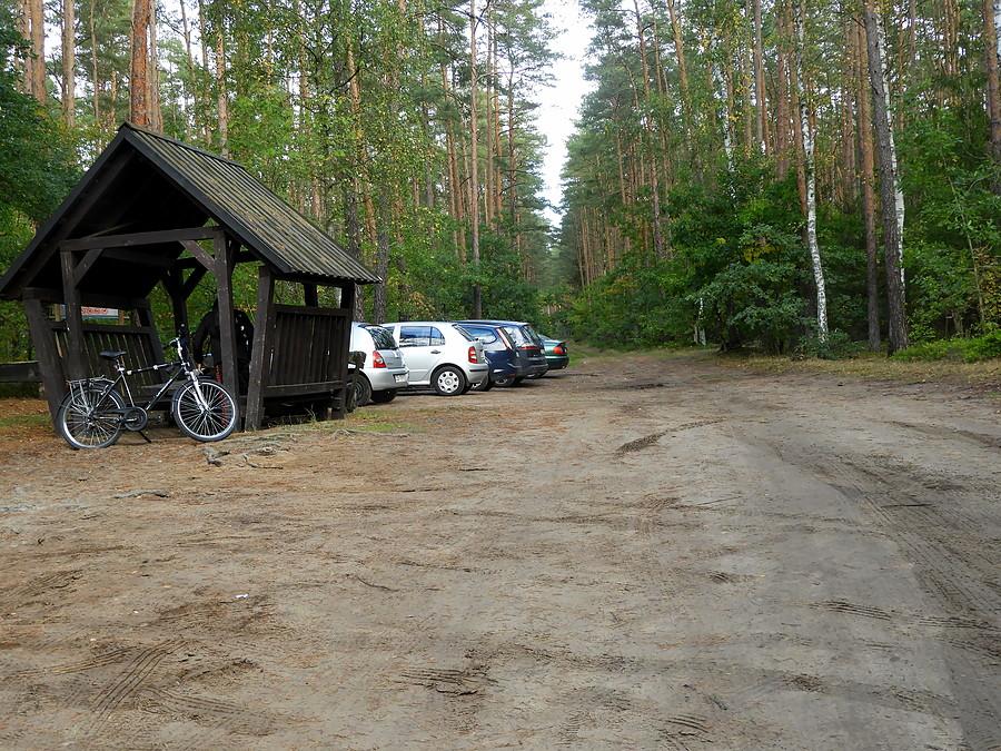 Leśna przecinka tuż za Gunicą.