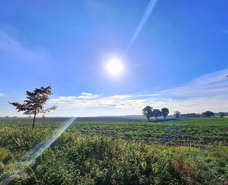 Prześwietlone Lisówki