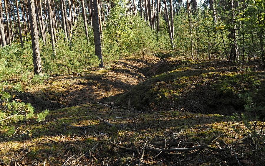 Niezabliźniony ślad sprzed 80 lat