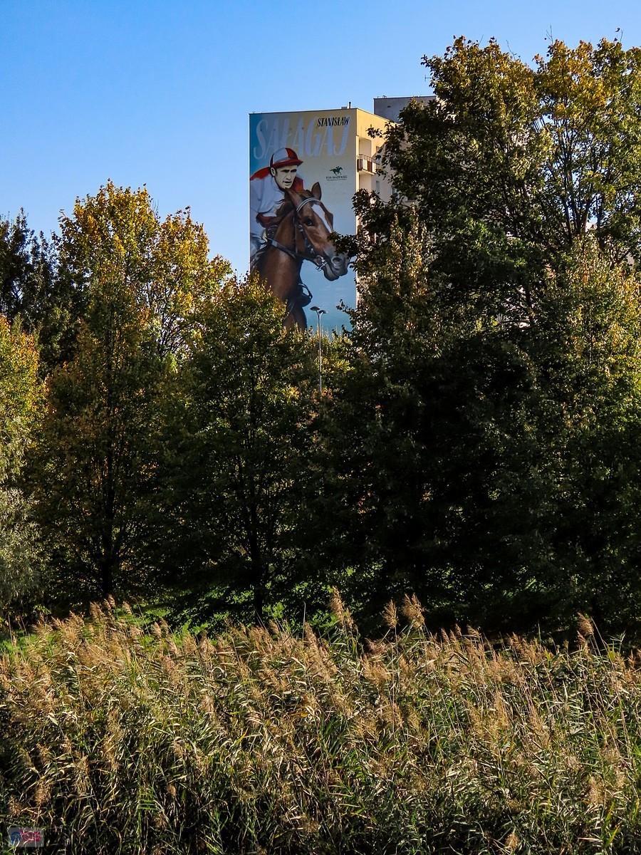Mural dżokeja